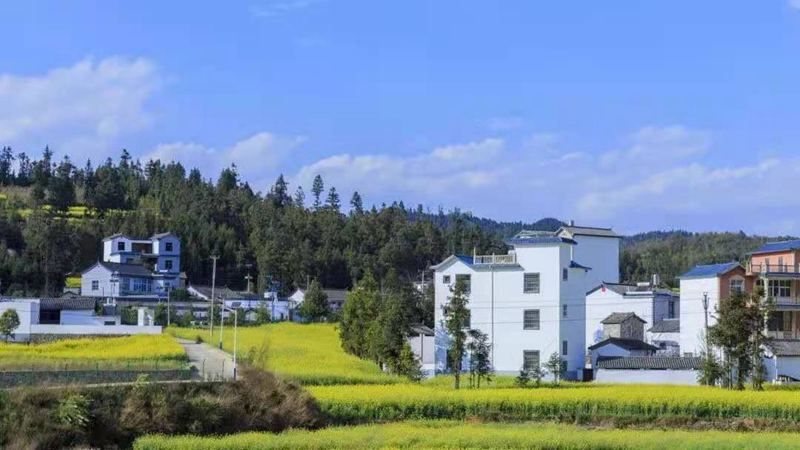 農(nóng)村開始實(shí)施禁止建新房?是真的嗎?(圖2) 睿婕輕鋼別墅